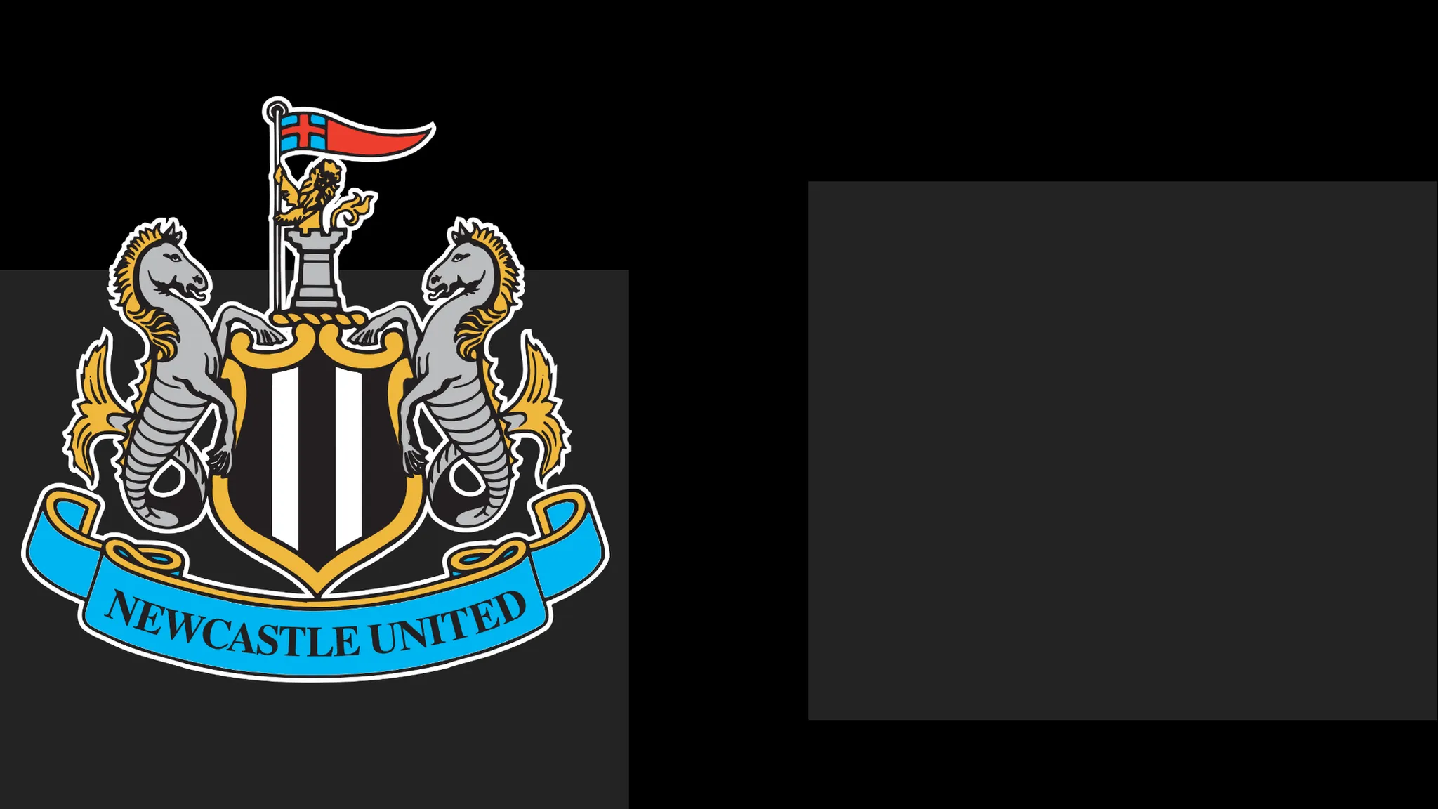 NUFC Issue Formal Apology to Followers Following Matchday Issue