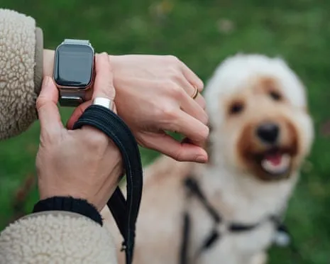 The Truth Concerning Smartwatches? Daily Existence Feels Fuller Without a Nagging Device on Your Arm