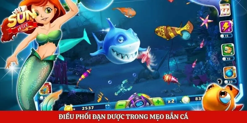 Điều phối đạn dược trong mẹo bắn cá