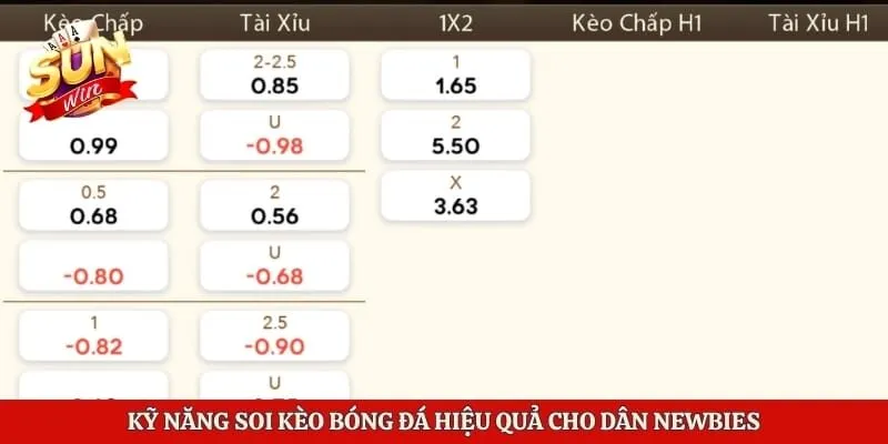 Kỹ năng soi kèo bóng đá hiệu quả cho dân newbies