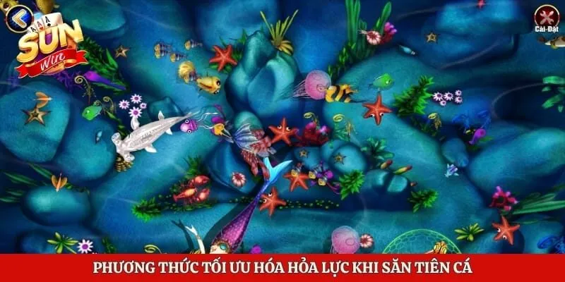 Phương thức tối ưu hóa hỏa lực khi săn tiên cá